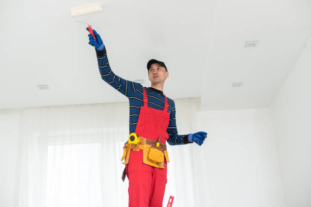 Best Ceiling Drywall Installation  in St Martins, MO